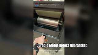 Motorrotor-Imprägniermaschine für Langlebigkeit